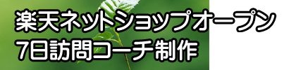 楽天ネットショップオープン7日訪問コーチ制作